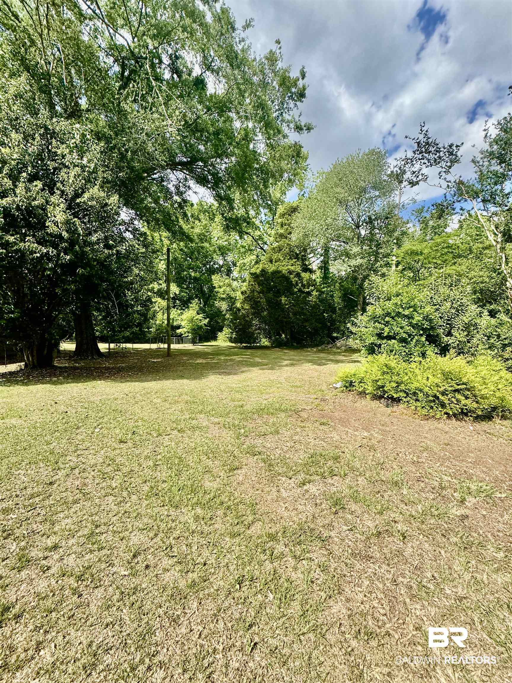 226 Elizabeth Street Evergreen, AL 36401 - Photo 7 of 35 Spacious grassy area surrounded by mature trees and varied foliage, providing natural privacy and verdant landscaping