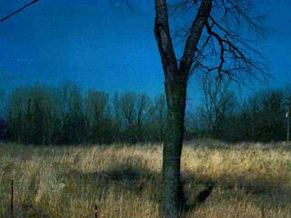 999999 Ray Quincy Road Quincy, MI 49082 - Photo 1 of 1 Primary Photo