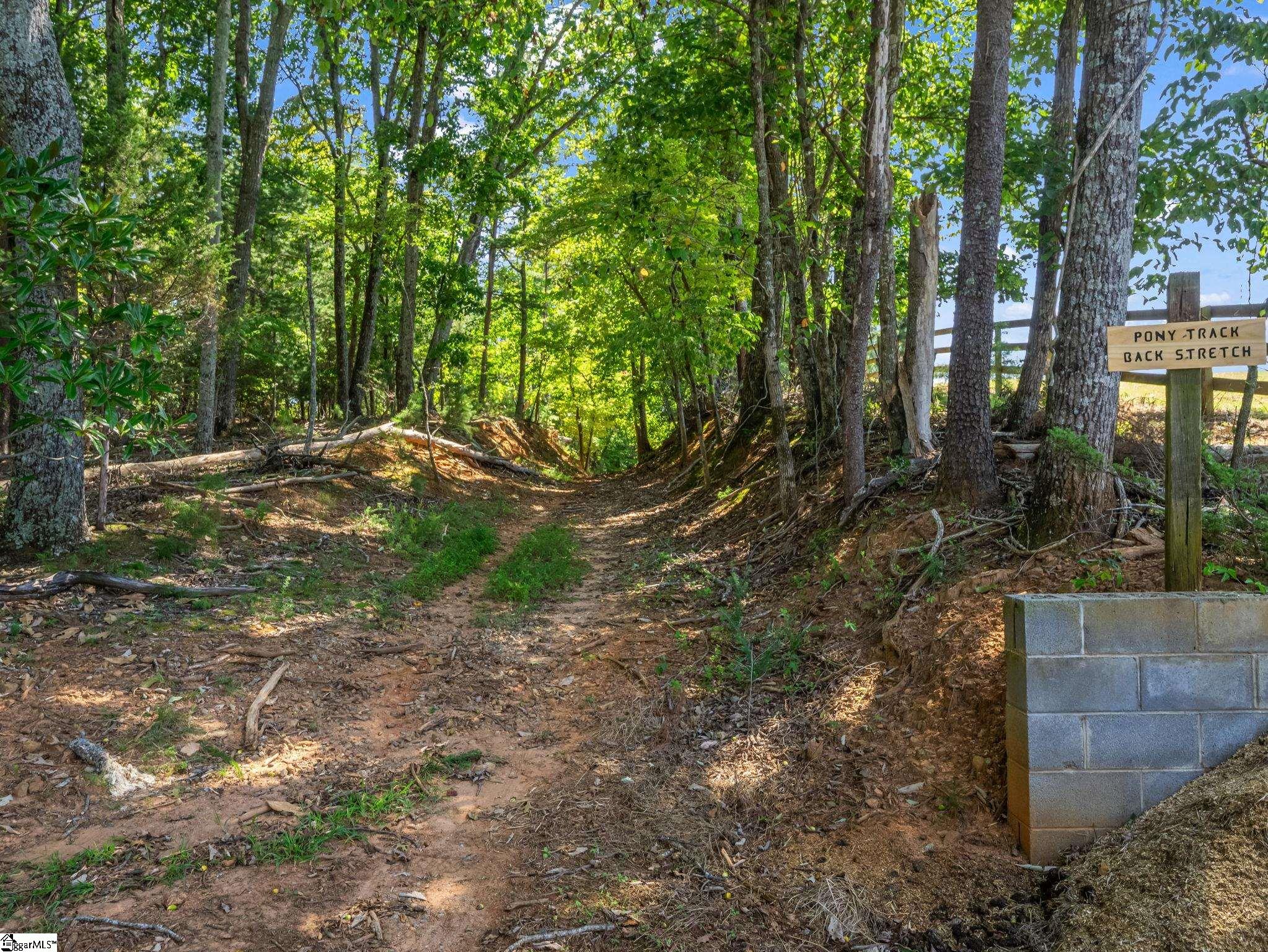 1050 Hunting Country Road Tryon, NC 28782 - Photo 6 of 40