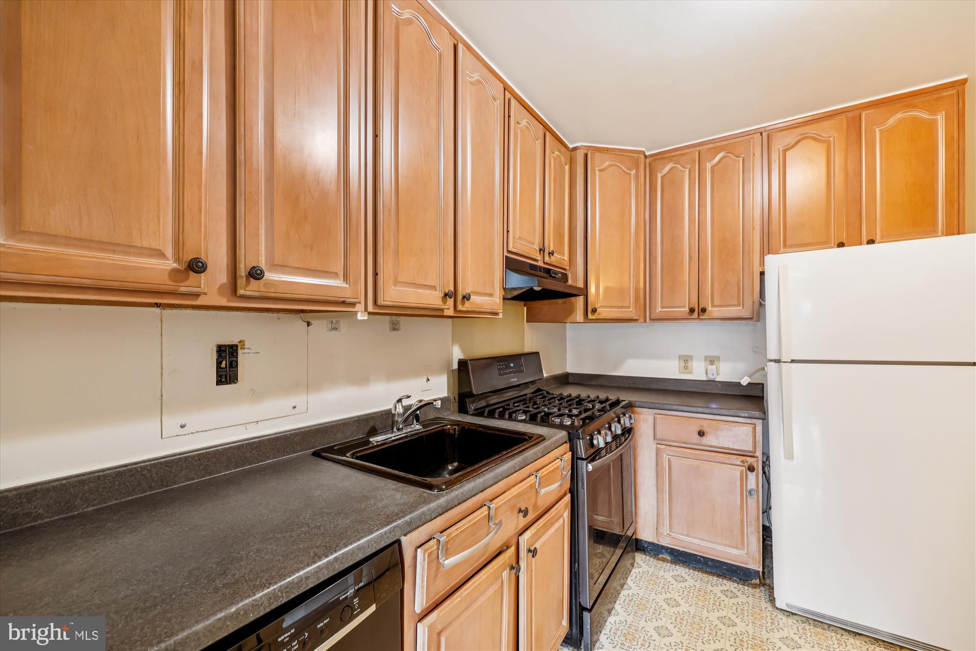 1111 University Boulevard West, Unit 218 Silver Spring, MD 20902 - Photo 13 of 51 Kitchen