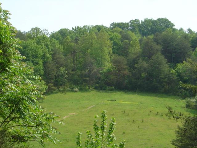 9999 Old Corbin Road London, KY 40744 - Photo 53 of 53 Photo 53