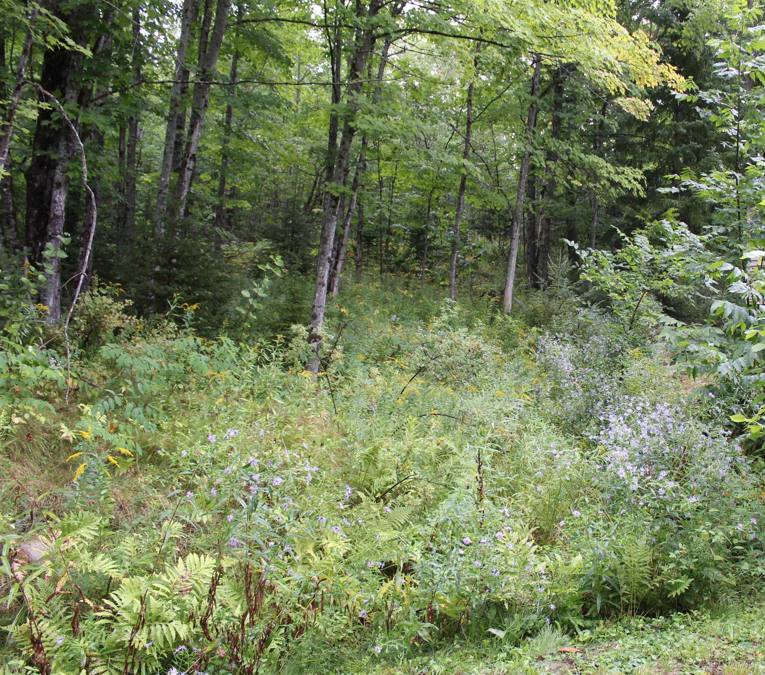 772 Lost Nation Road Northumberland, NH 03582 - Photo 38 of 52 Gallery Image 38
