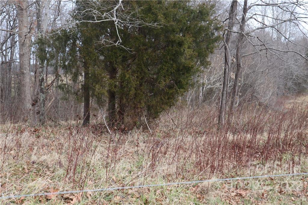 0 East Monbo Road Statesville, NC 28677 - Photo 5 of 9 a view of a dry yard