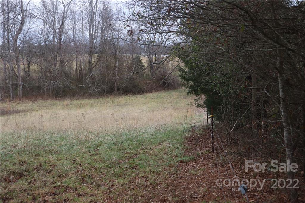 0 East Monbo Road Statesville, NC 28677 - Photo 8 of 9 a view of a yard with trees