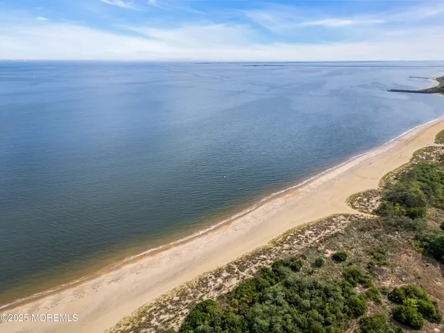 a street view with wooden fence and trees