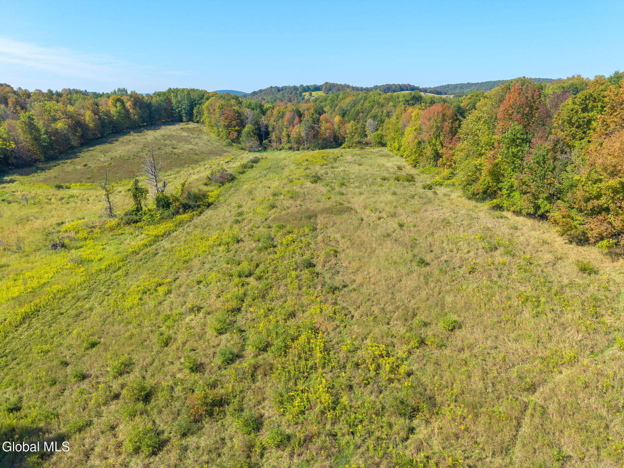 322 Hubb Shutts Road Cobleskill, NY 12043 - Photo 11 of 55 25-322HubbShuttsRd_25