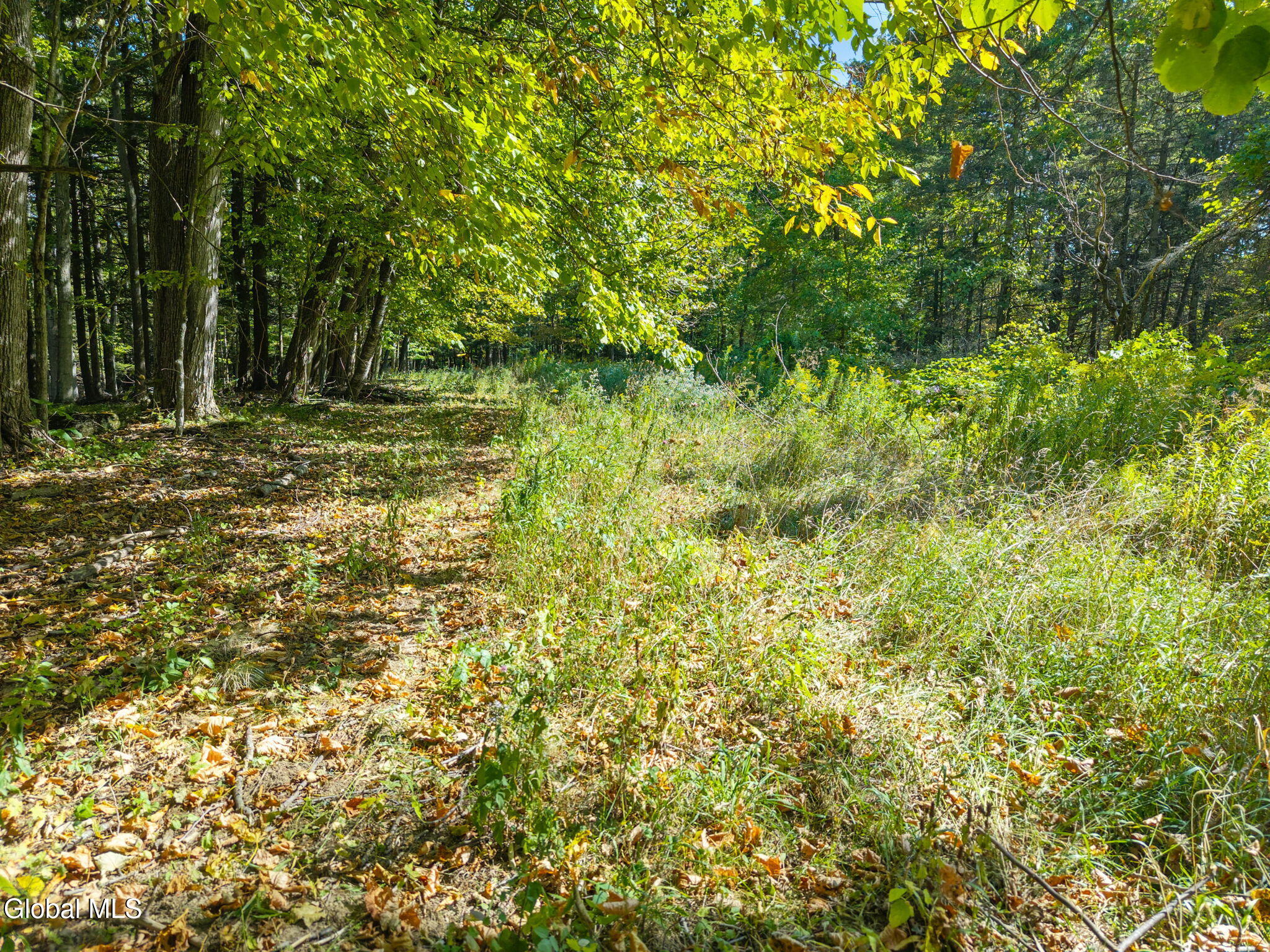 322 Hubb Shutts Road Cobleskill, NY 12043 - Photo 12 of 55 27-322HubbShuttsRd_27