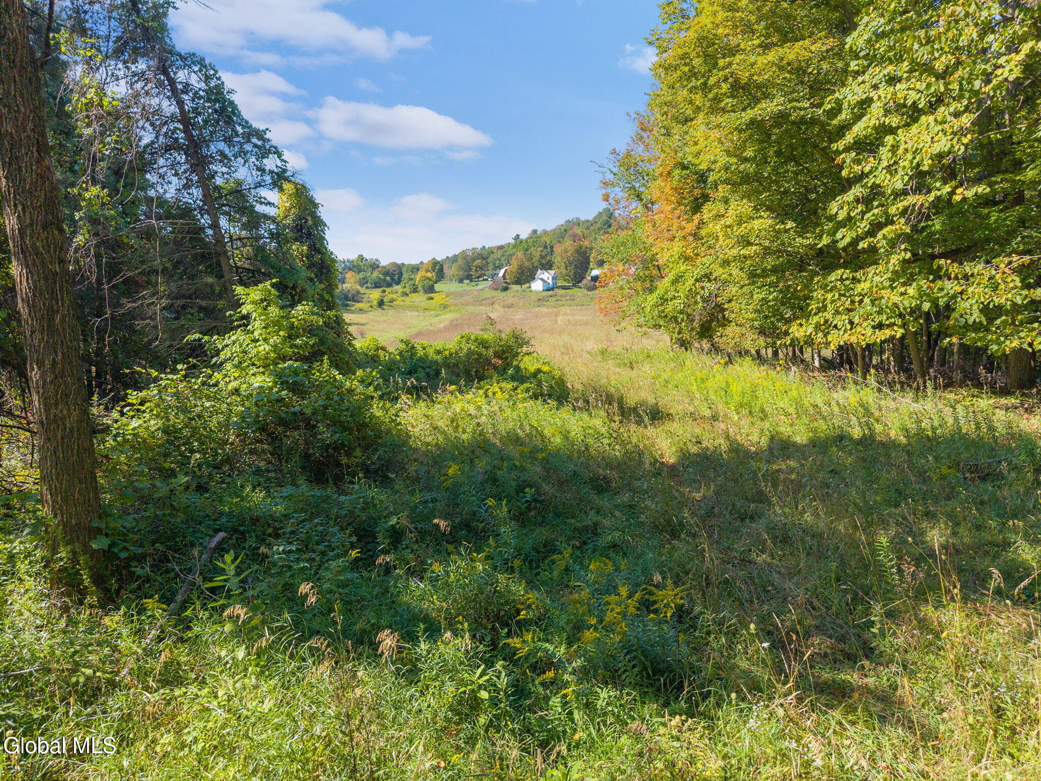 322 Hubb Shutts Road Cobleskill, NY 12043 - Photo 47 of 55 28-322HubbShuttsRd_28