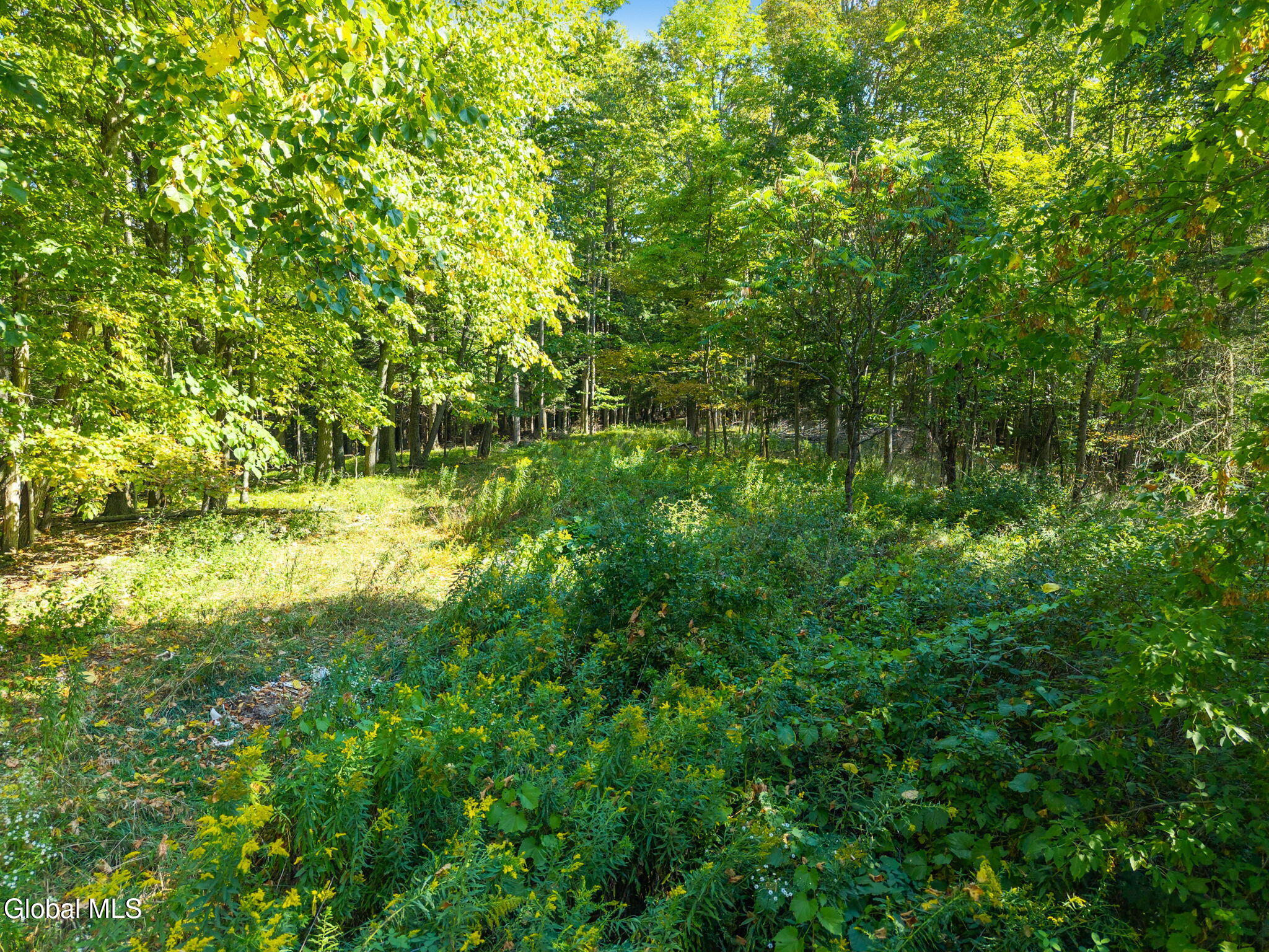 322 Hubb Shutts Road Cobleskill, NY 12043 - Photo 48 of 55 29-322HubbShuttsRd_29