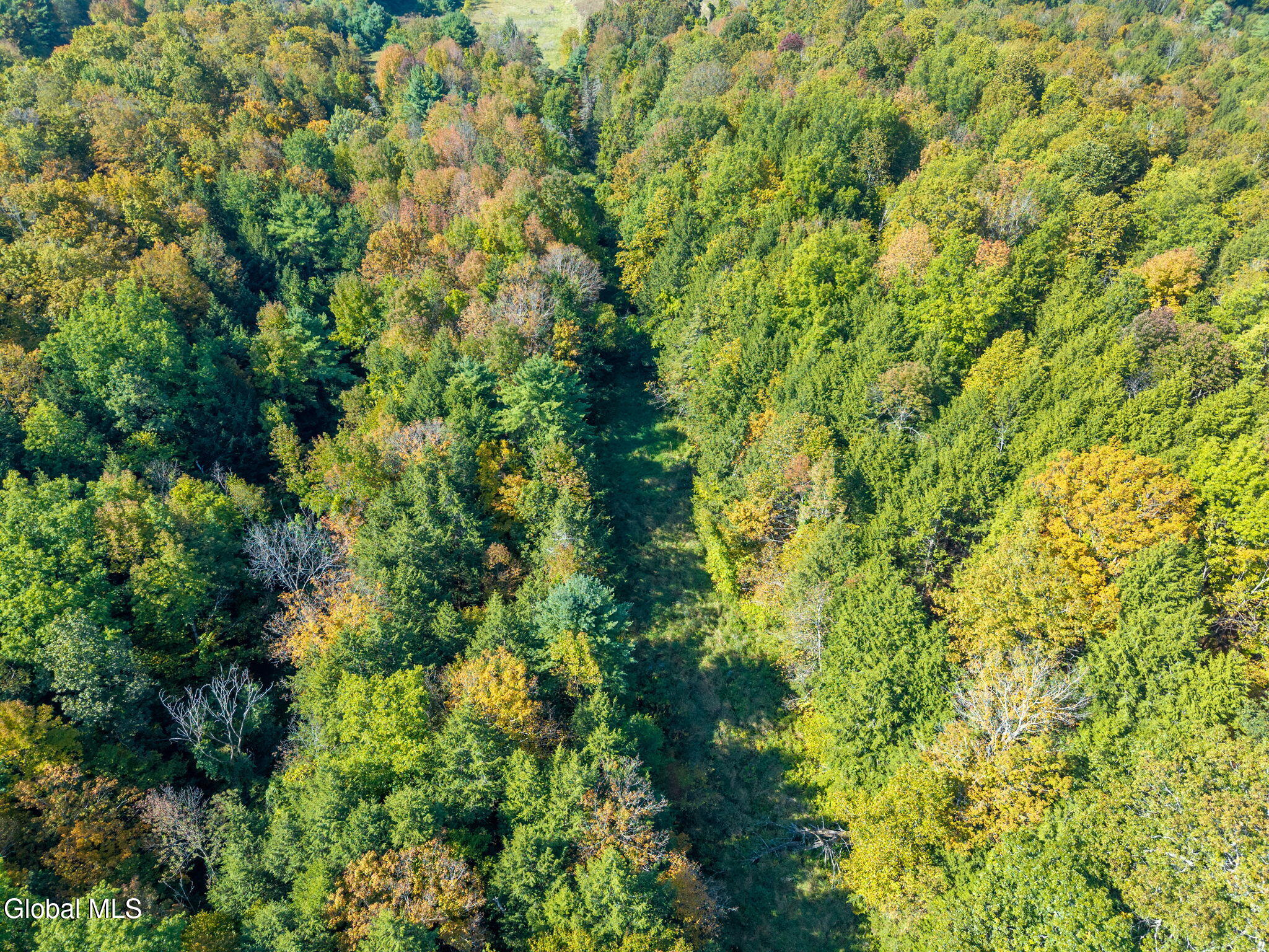 322 Hubb Shutts Road Cobleskill, NY 12043 - Photo 49 of 55 26-322HubbShuttsRd_26