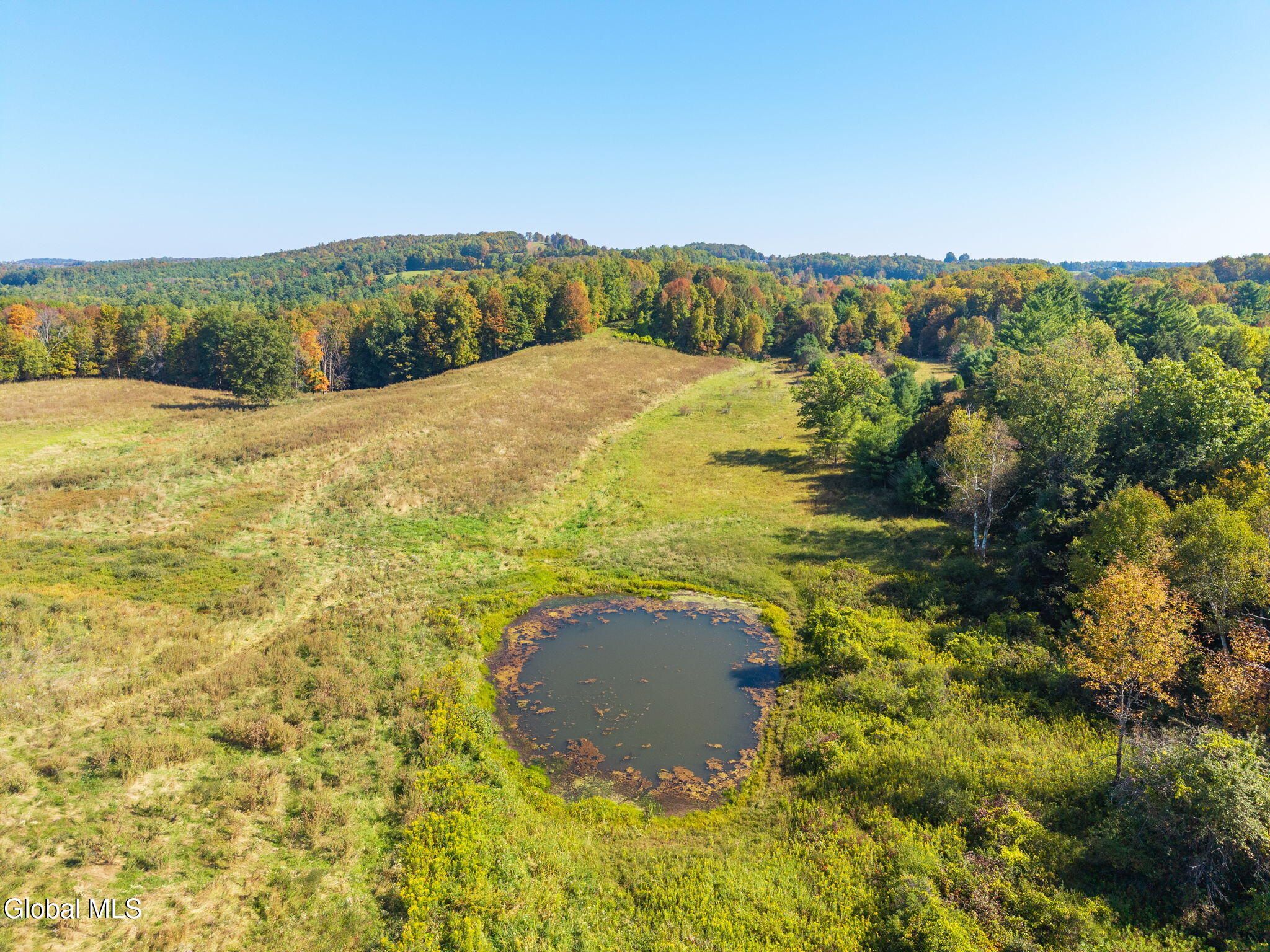 322 Hubb Shutts Road Cobleskill, NY 12043 - Photo 8 of 55 17-322HubbShuttsRd_17