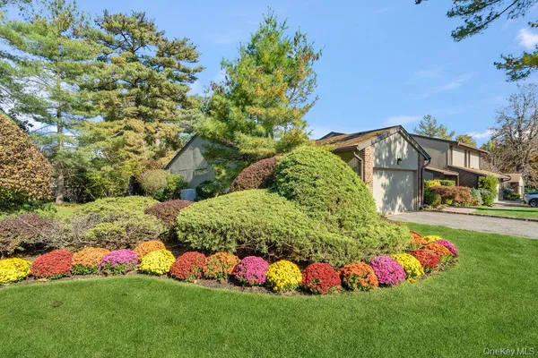 a view of a garden with flowers and plants