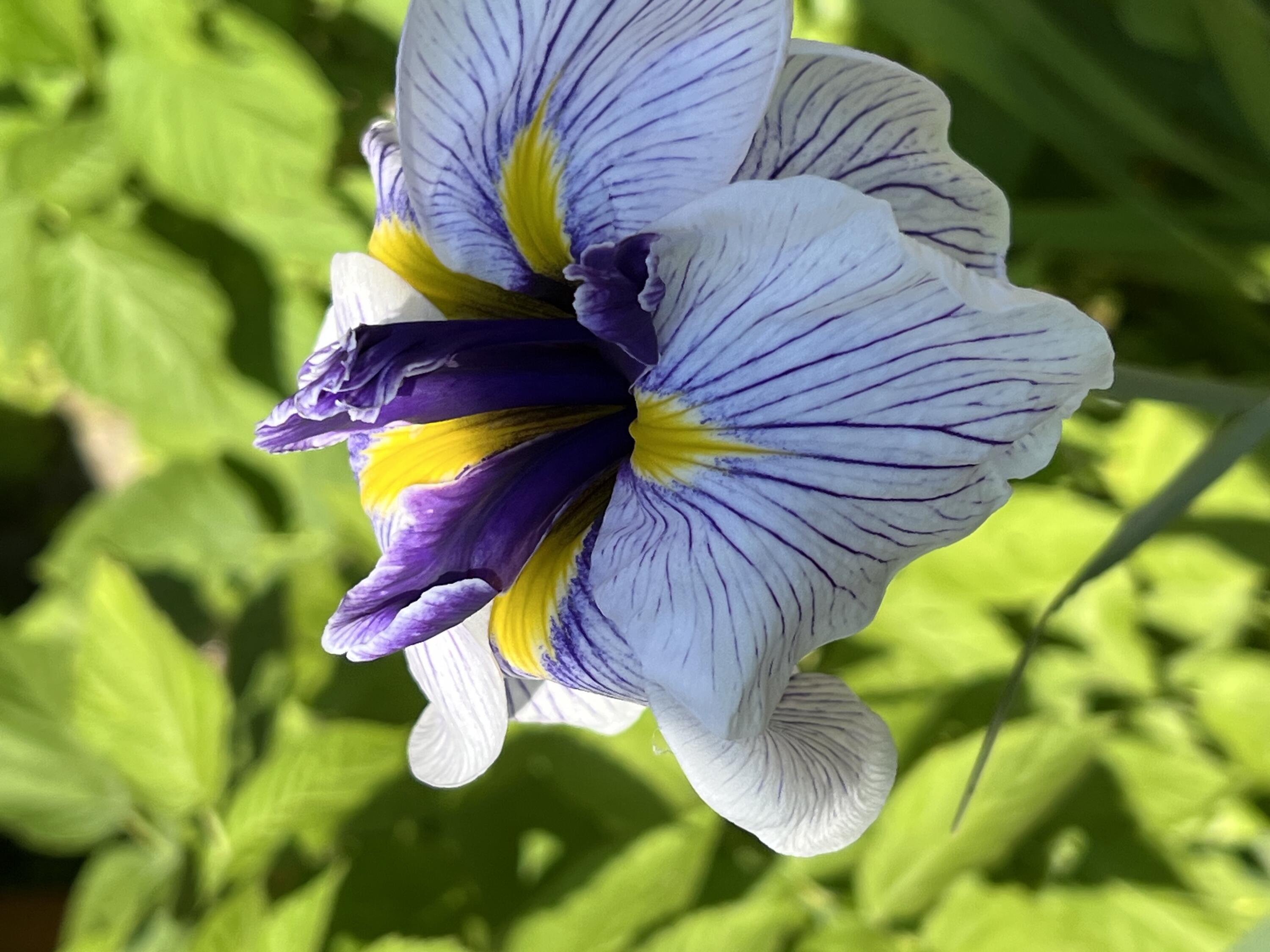 1097 Main Street Springfield, ME 04487 - Photo 90 of 90 IMG_7505