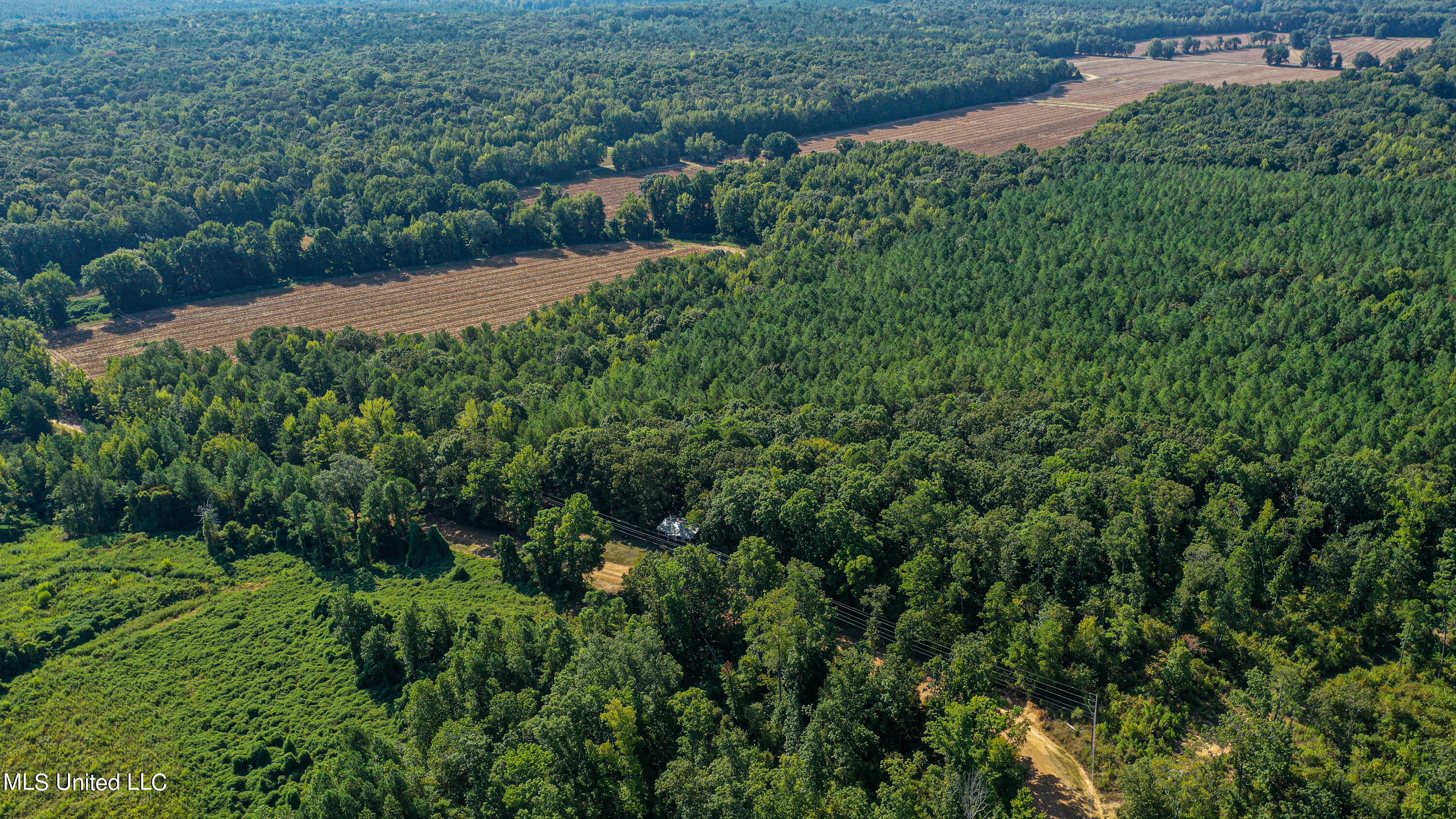 Hendrix Road Coffeeville, MS 38922 - Photo 21 of 48 DJI_0019