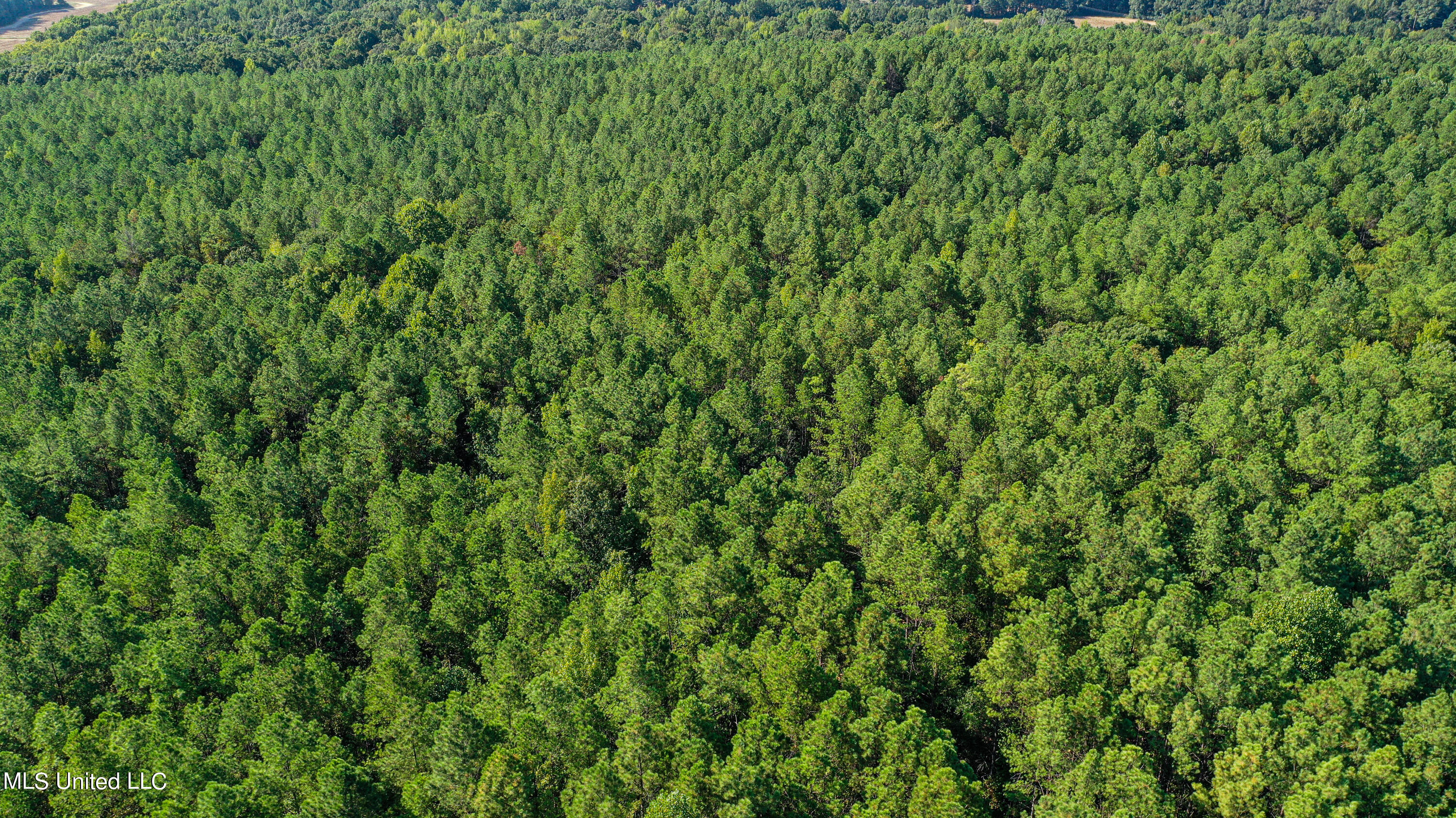 Hendrix Road Coffeeville, MS 38922 - Photo 23 of 48 DJI_0020