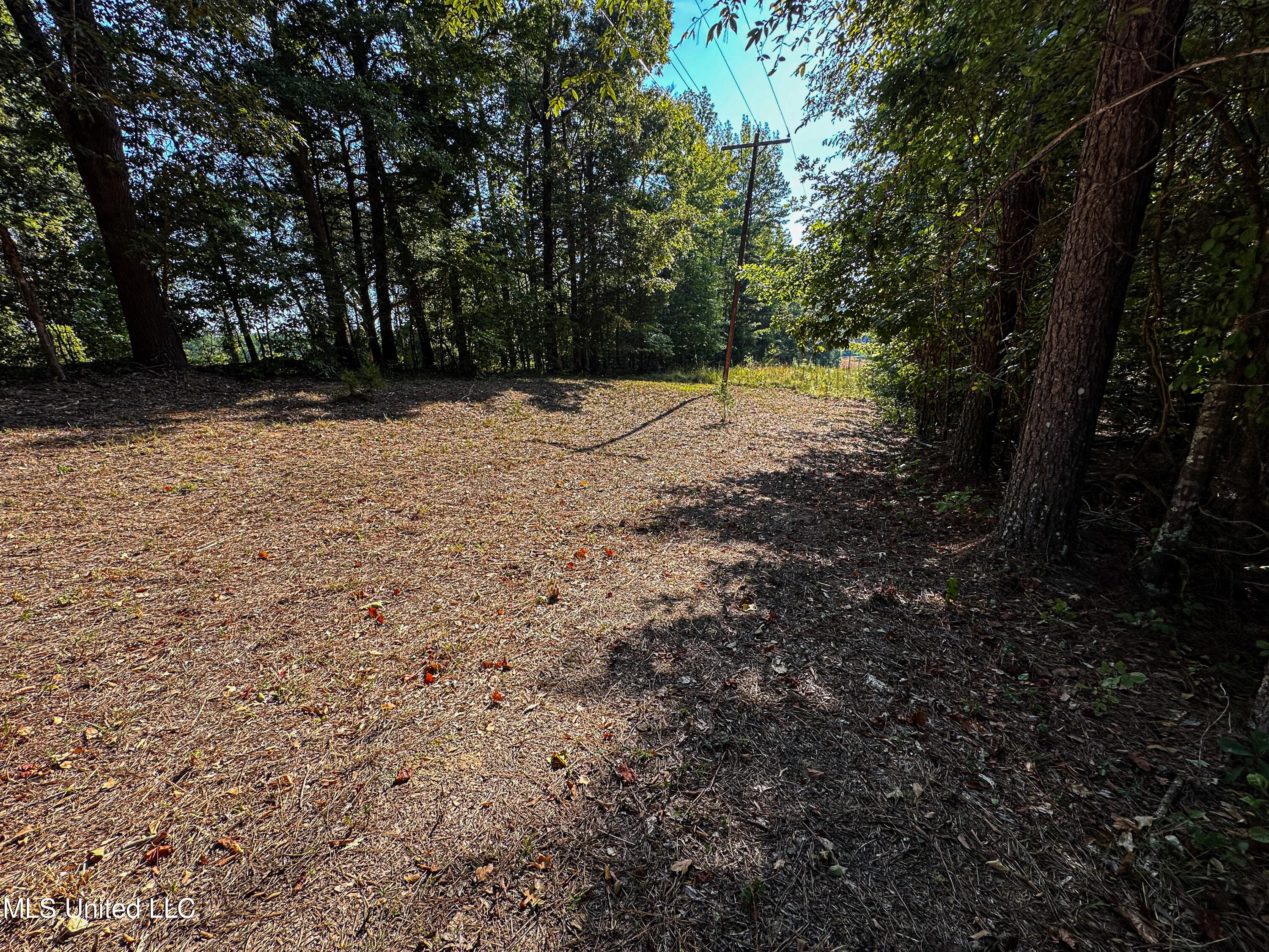 Hendrix Road Coffeeville, MS 38922 - Photo 42 of 48 IMG_9558