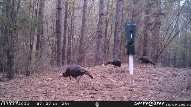 Hendrix Road Coffeeville, MS 38922 - Photo 48 of 48 6game