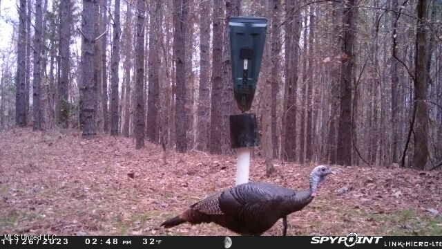 Hendrix Road Coffeeville, MS 38922 - Photo 8 of 48 9