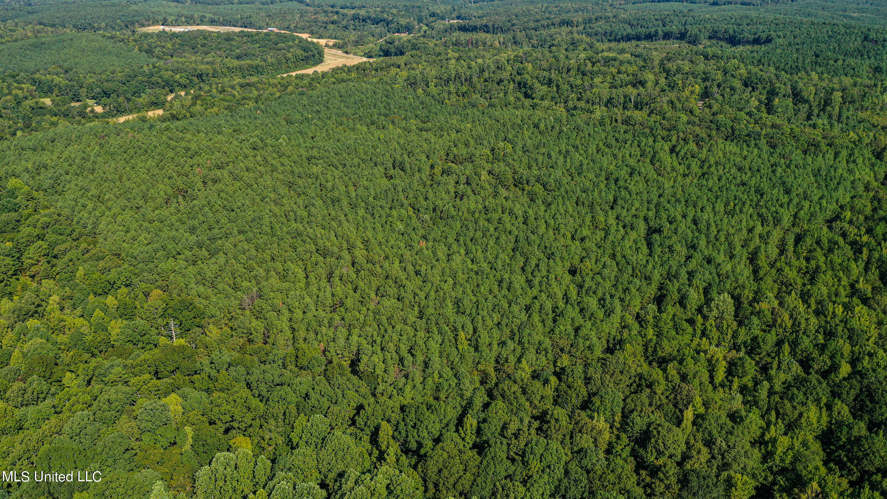 Hendrix Road Coffeeville, MS 38922 - Photo 9 of 48 DJI_0012