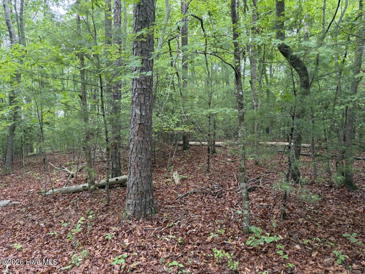 274 Snow Hill Ridge Road Murphy, NC 28906 - Photo 27 of 30