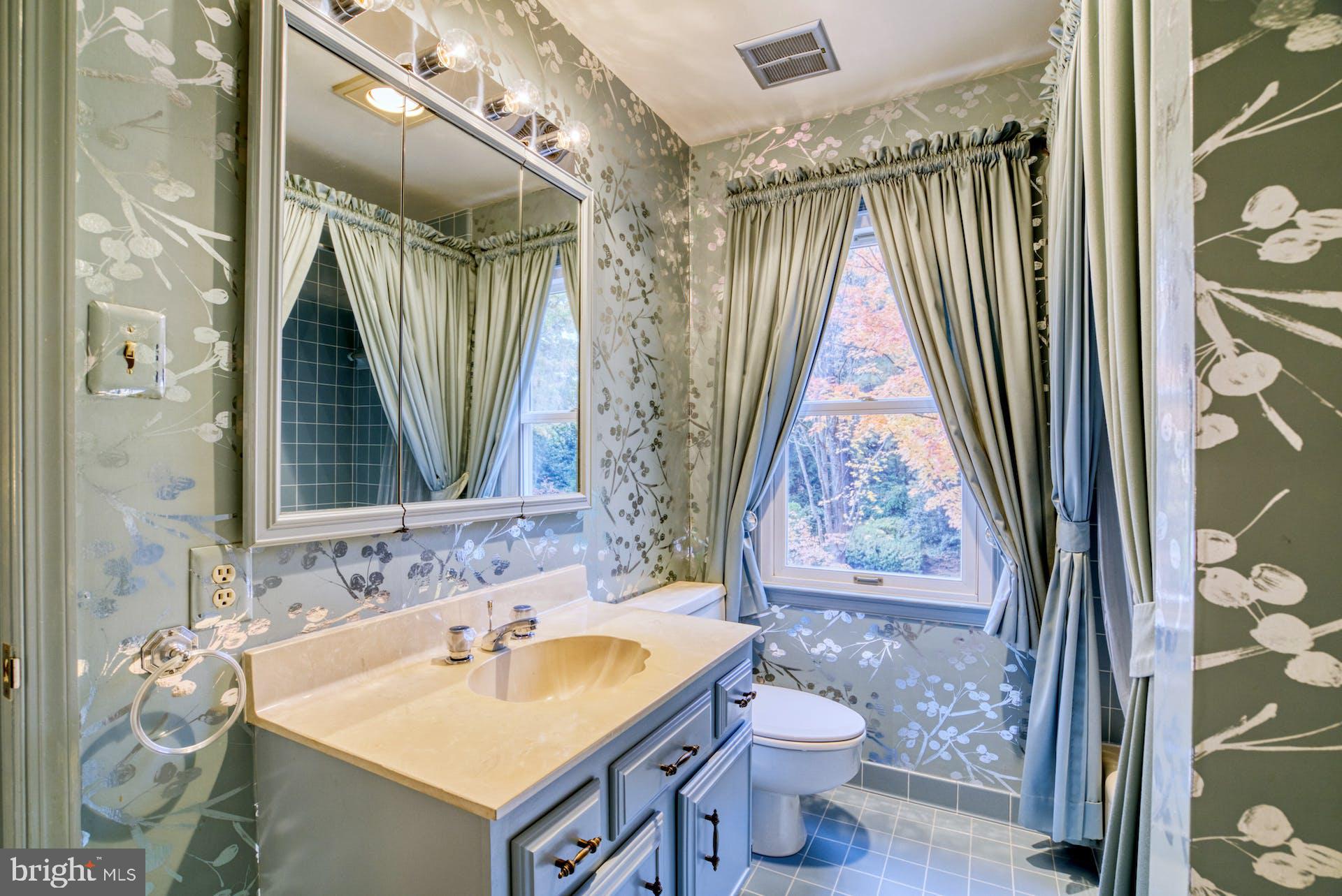 1324 Skipwith Road McLean, VA 22101 - Photo 36 of 54