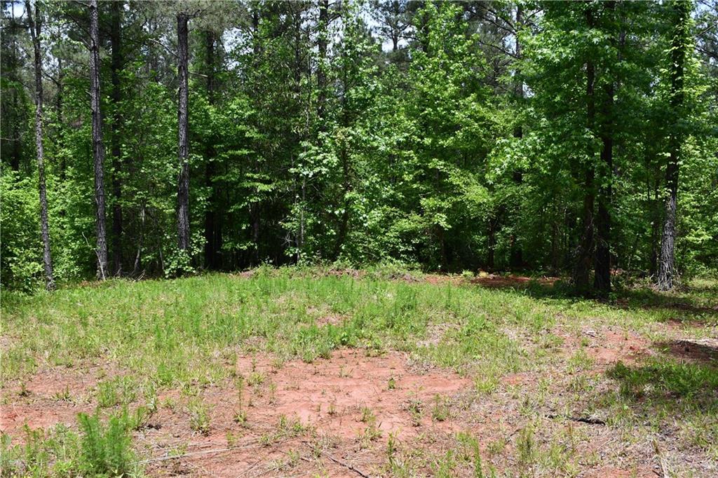 1 Wilson Road Temple, GA 30179 - Photo 50 of 88 a view of backyard with green space