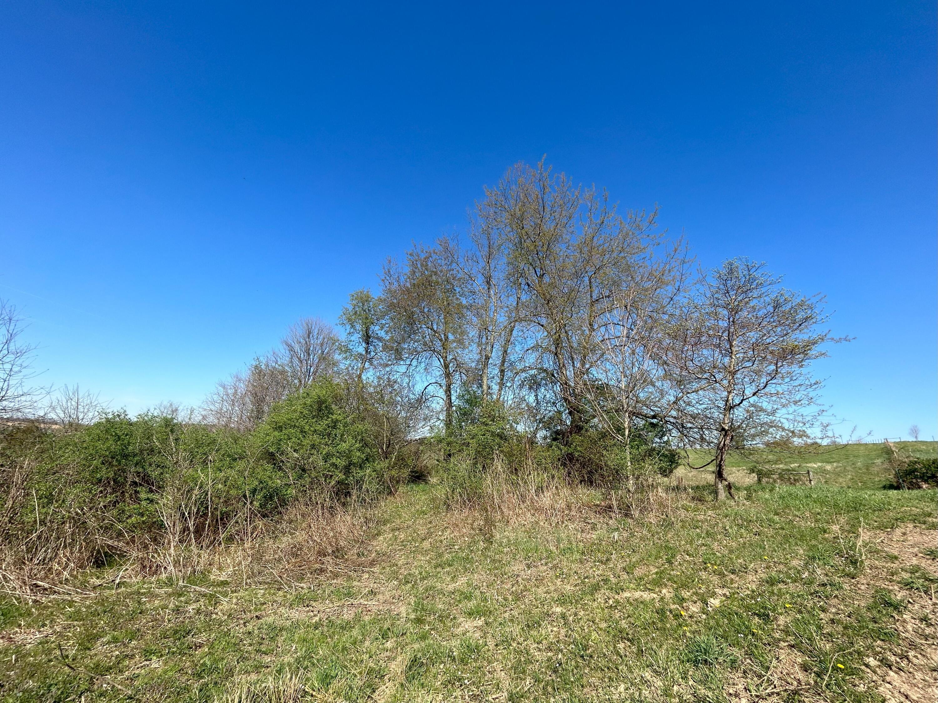 6366 County Road 52 Rushville, OH 43150 - Photo 23 of 80 IMG_5932