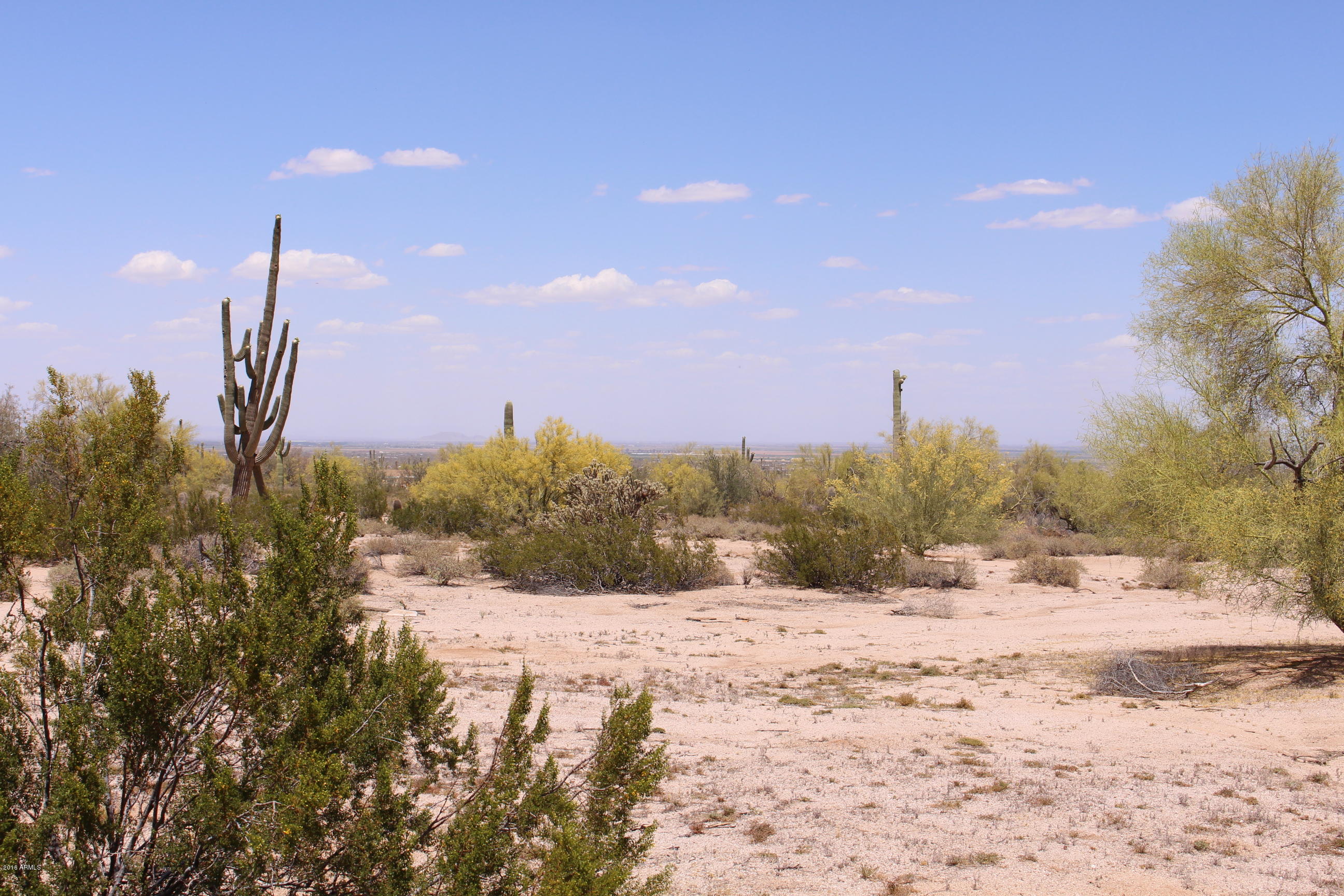 53362 West Robin Road Maricopa, AZ 85139 - Photo 11 of 24 IMG_8159