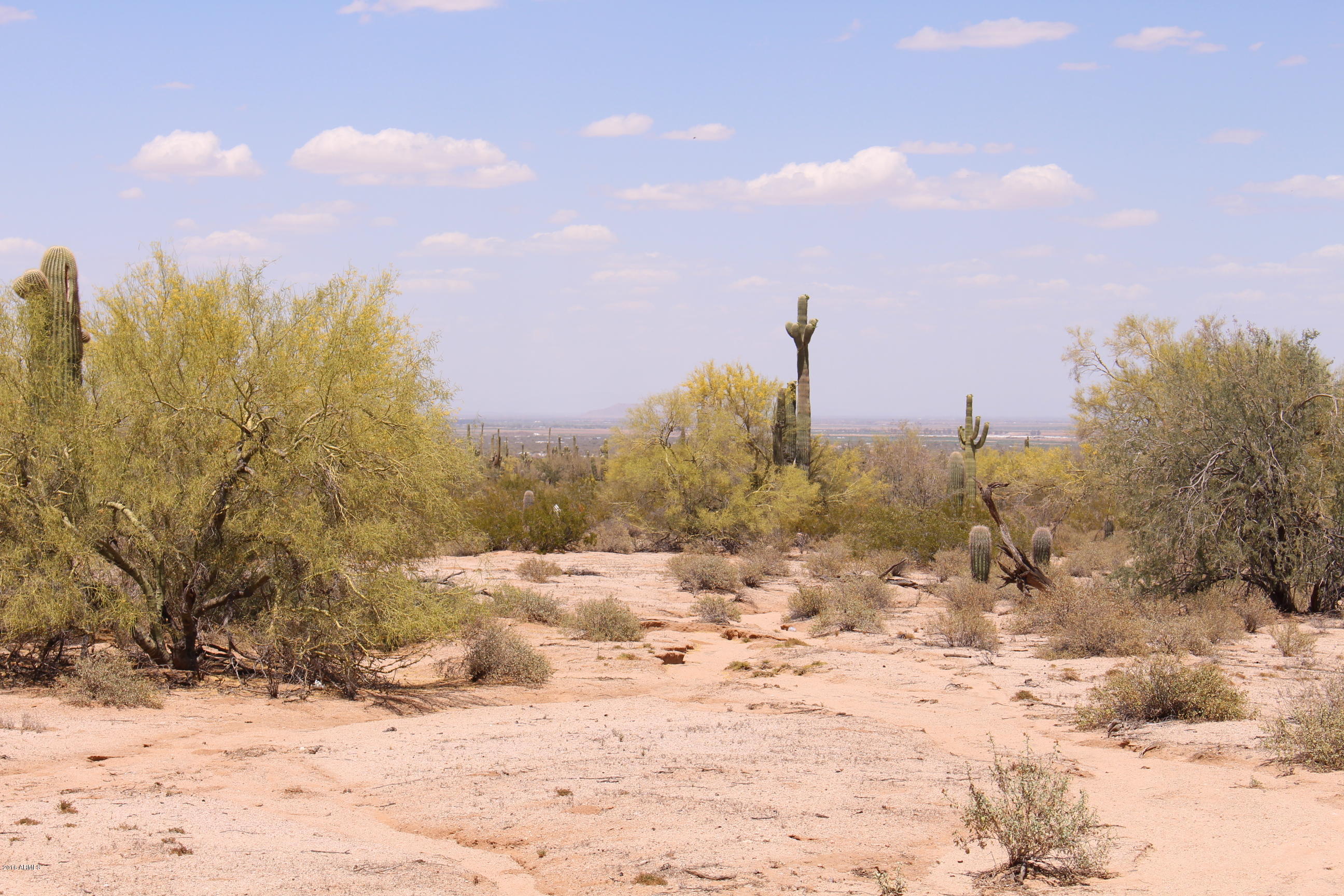 53362 West Robin Road Maricopa, AZ 85139 - Photo 14 of 24 IMG_8162