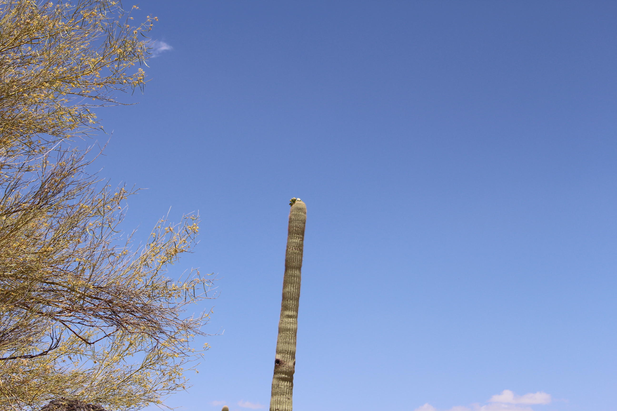 53362 West Robin Road Maricopa, AZ 85139 - Photo 20 of 24 IMG_8168