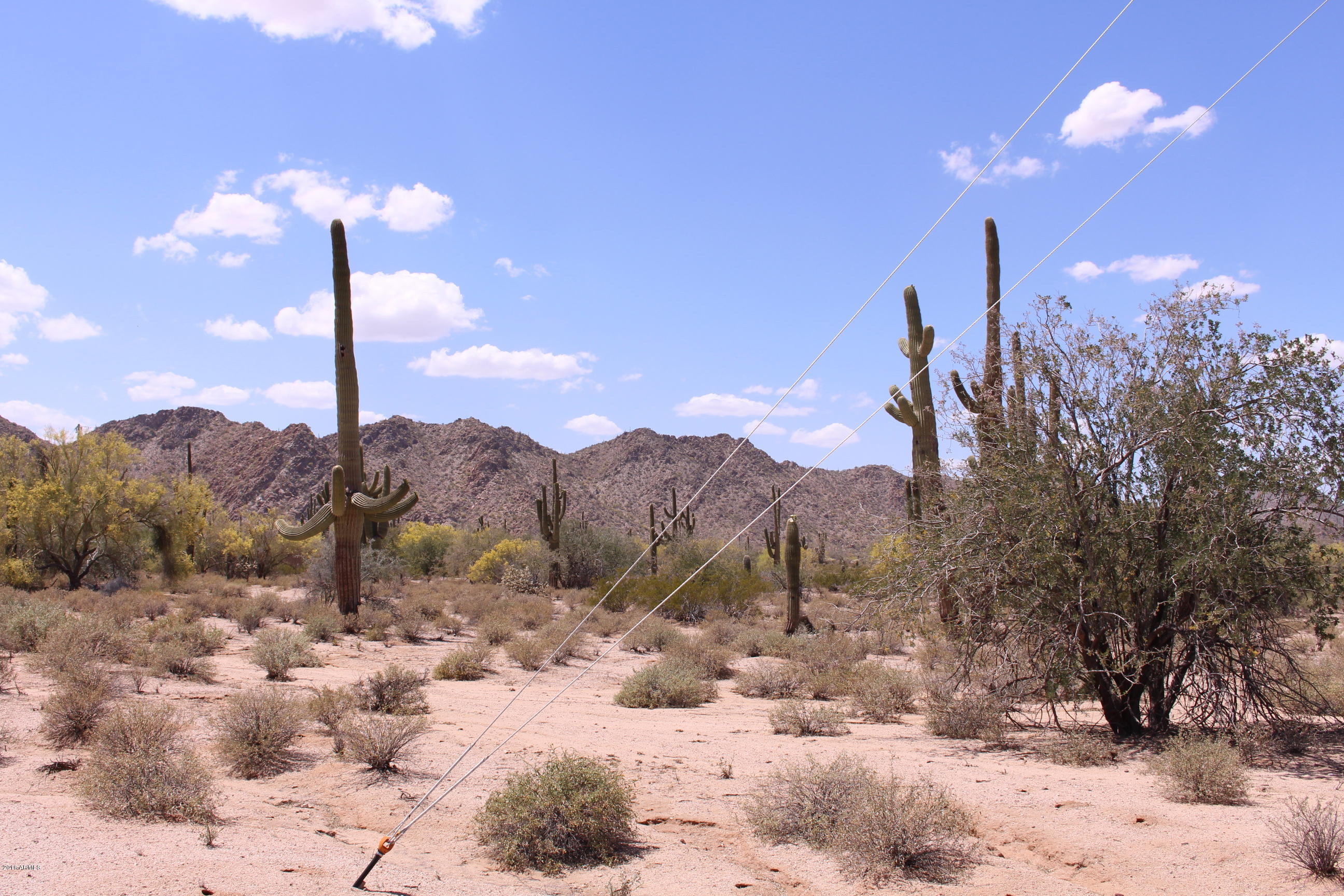 53362 West Robin Road Maricopa, AZ 85139 - Photo 23 of 24 IMG_8171