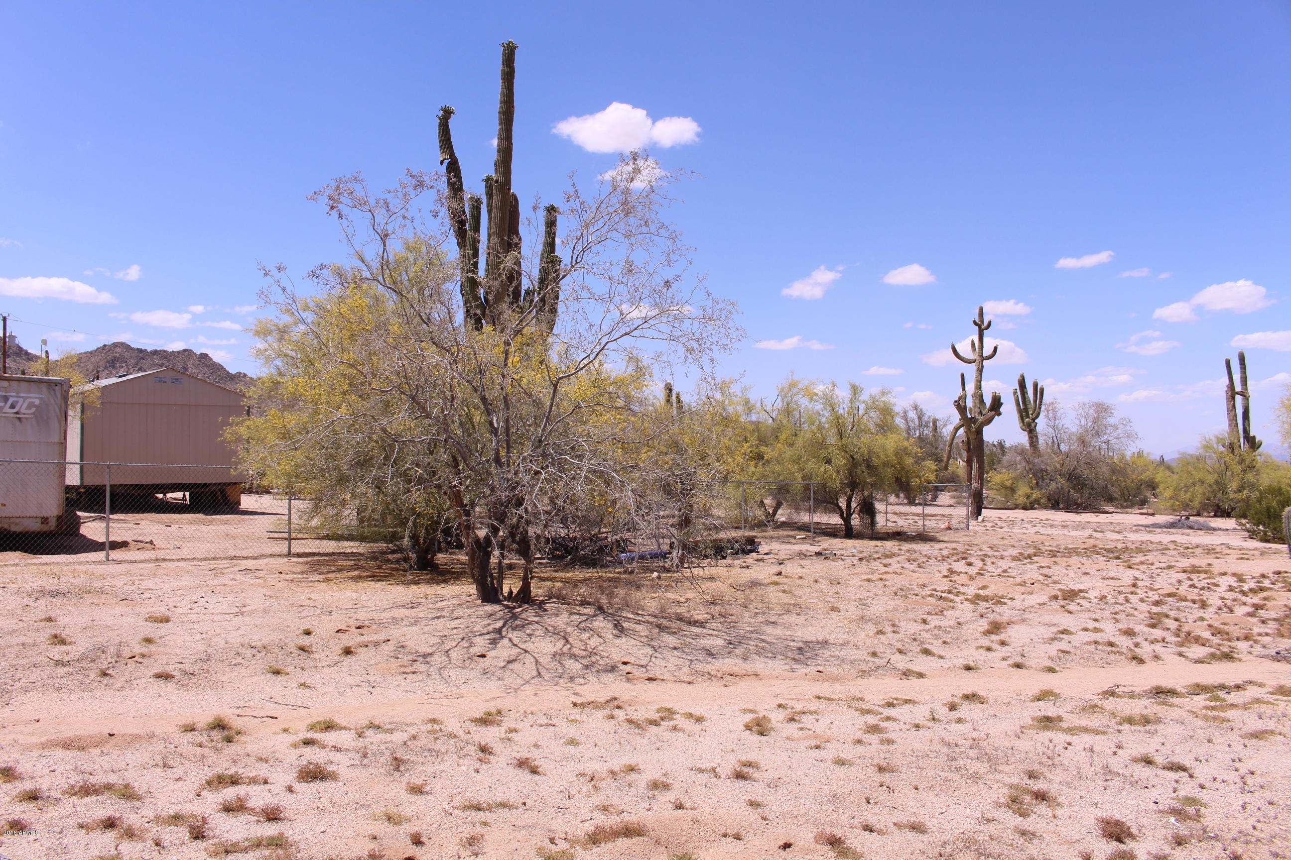 53362 West Robin Road Maricopa, AZ 85139 - Photo 7 of 24 IMG_8155