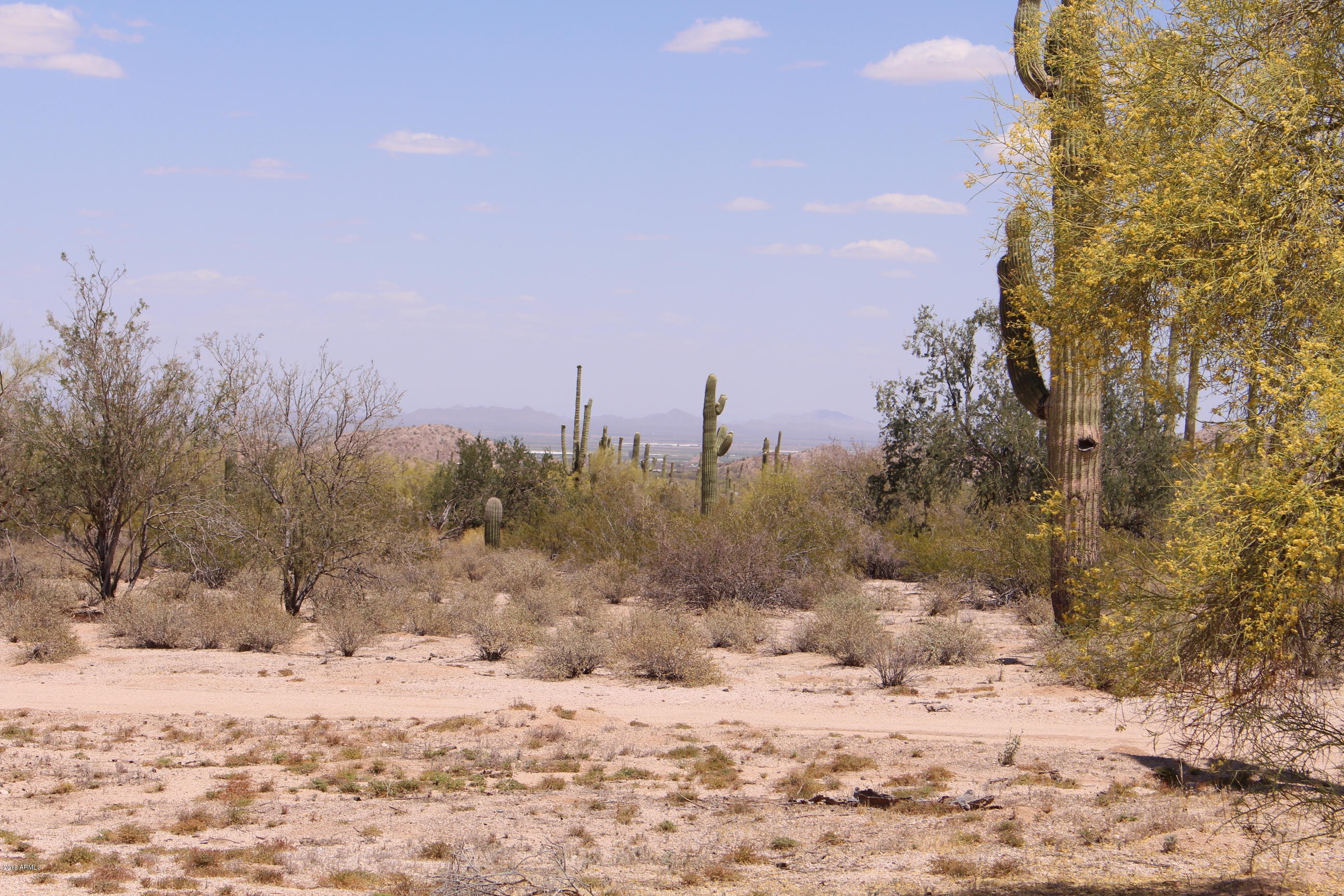 53362 West Robin Road Maricopa, AZ 85139 - Photo 9 of 24 IMG_8157