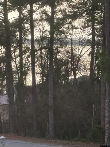 a view of an outdoor space and yard