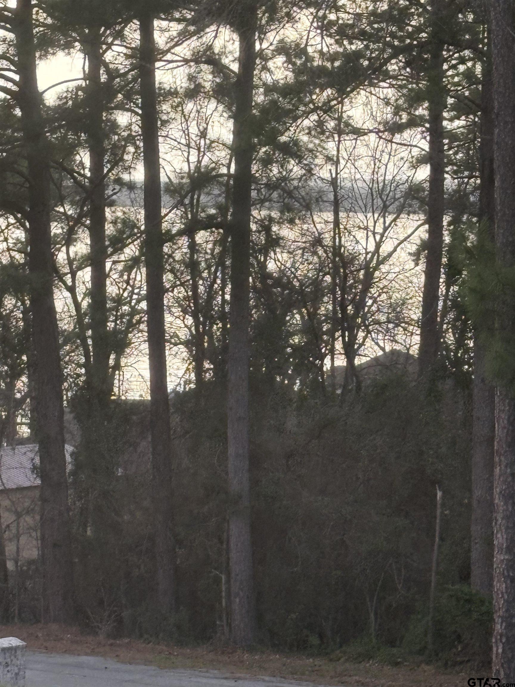 20847 Lakeview Drive Flint, TX 75762 - Photo 2 of 45