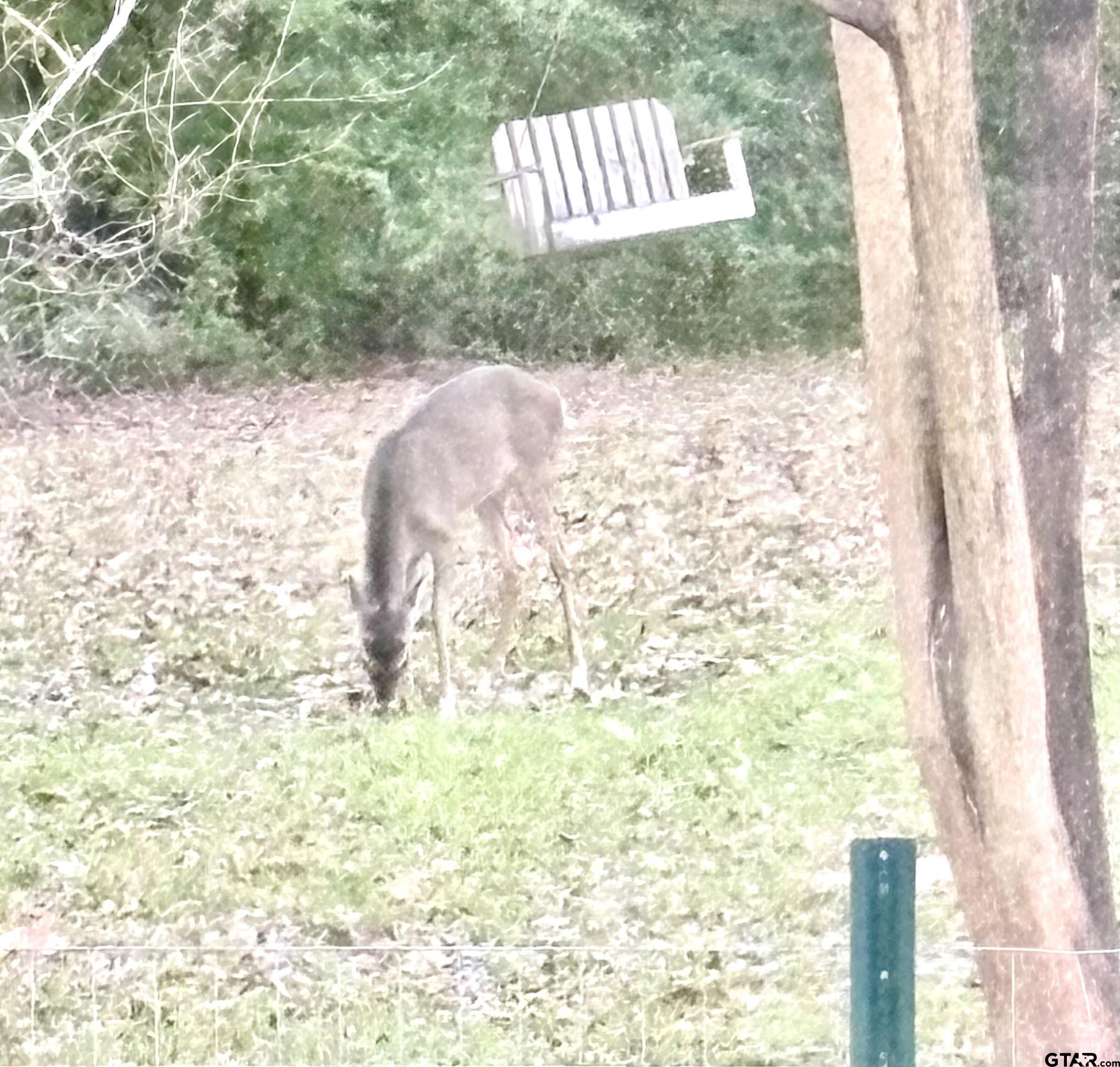 20847 Lakeview Drive Flint, TX 75762 - Photo 40 of 45