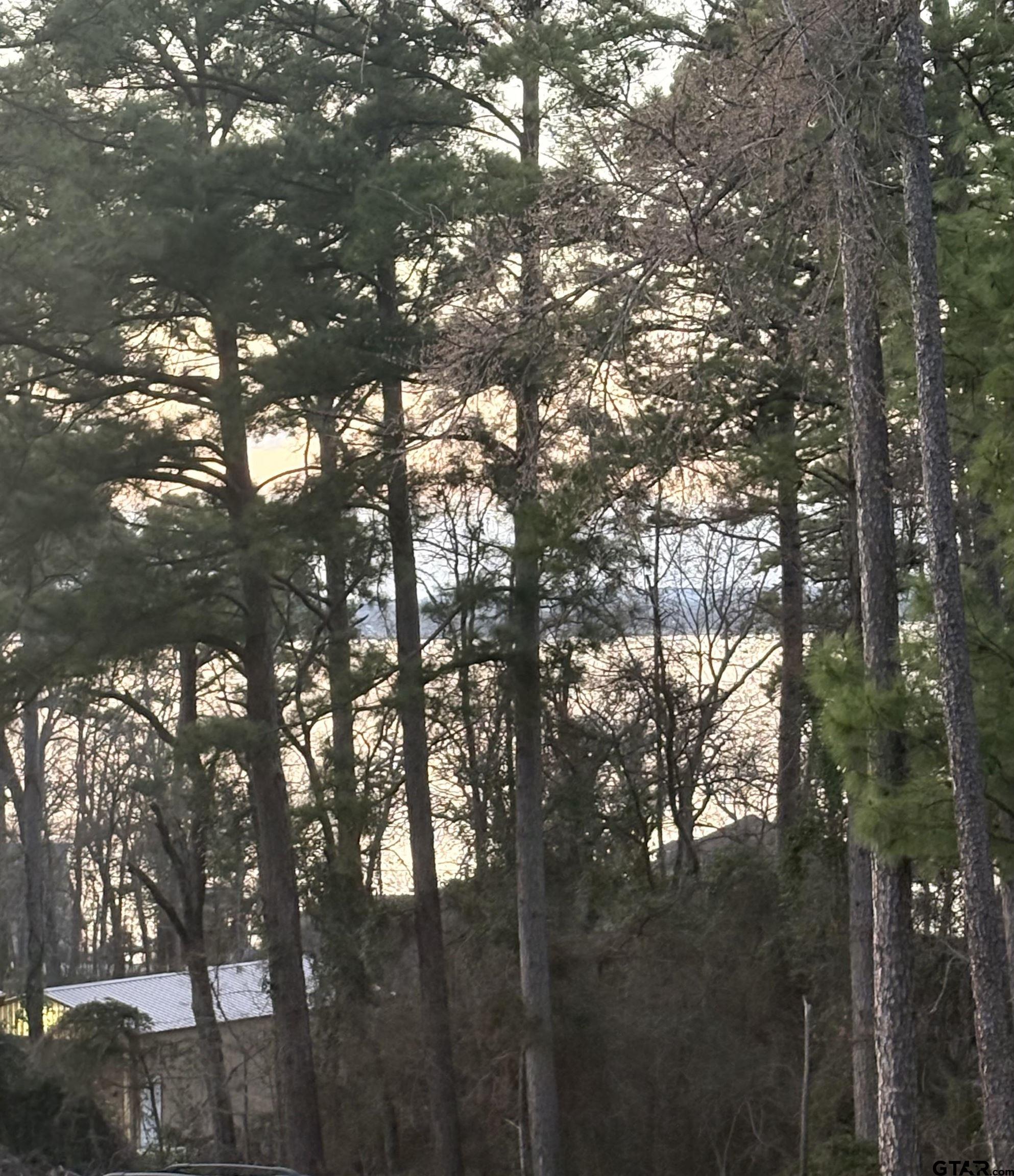 20847 Lakeview Drive Flint, TX 75762 - Photo 4 of 45