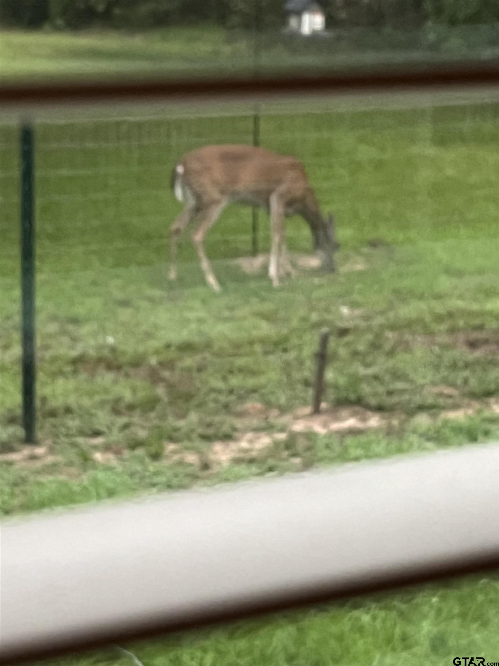 20847 Lakeview Drive Flint, TX 75762 - Photo 41 of 45