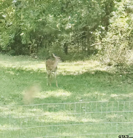 $269,000 | 20847 Lakeview Drive, Flint, TX 75762