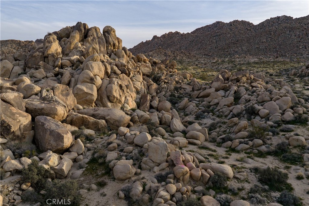 63251 Chickasaw Road Joshua Tree, CA 92252 - Photo 18 of 28