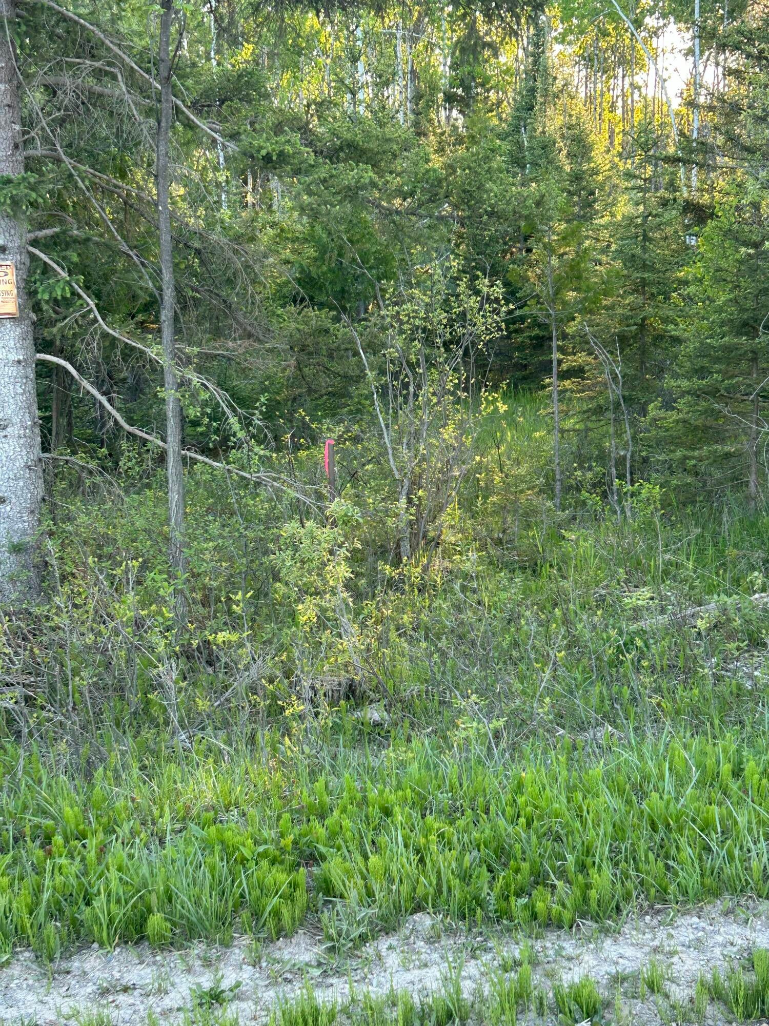 33.60 South County Line Road Onaway, MI 49765 - Photo 3 of 10 IMG_7734