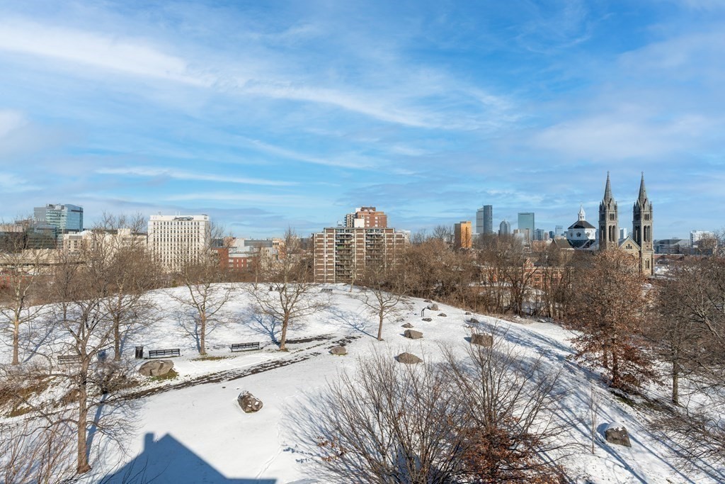 100 Calumet Street Boston, MA 02120 - Photo 40 of 42 a view of a city