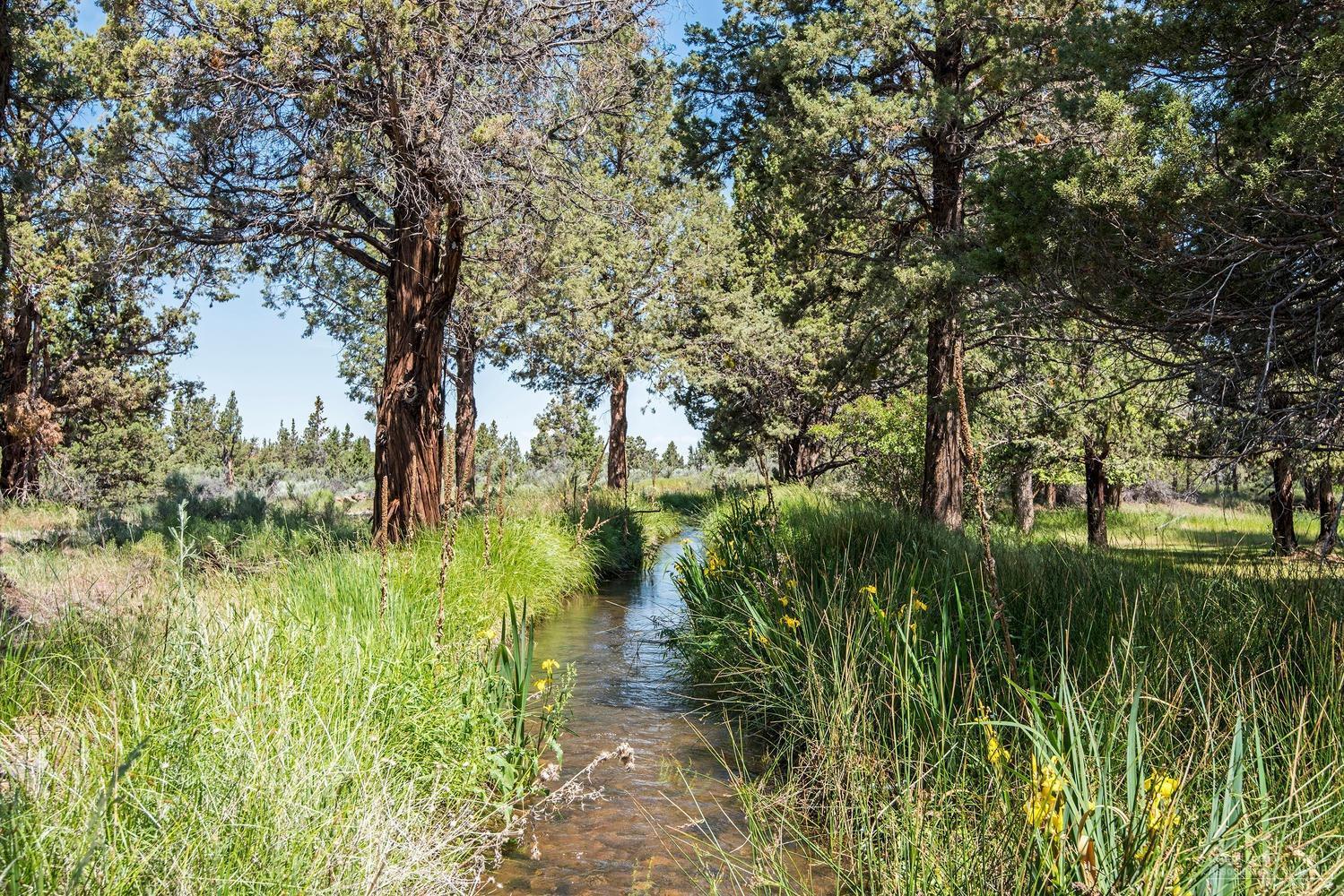 63385 Hamehook Road Bend, OR 97701 - Photo 22 of 25 Additional Photo