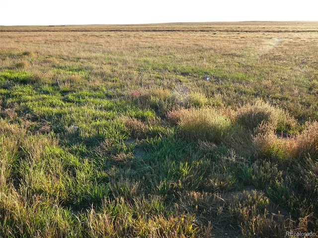 a view of city and ocean
