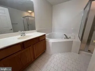 a bathroom with a sink a bathtub and a mirror