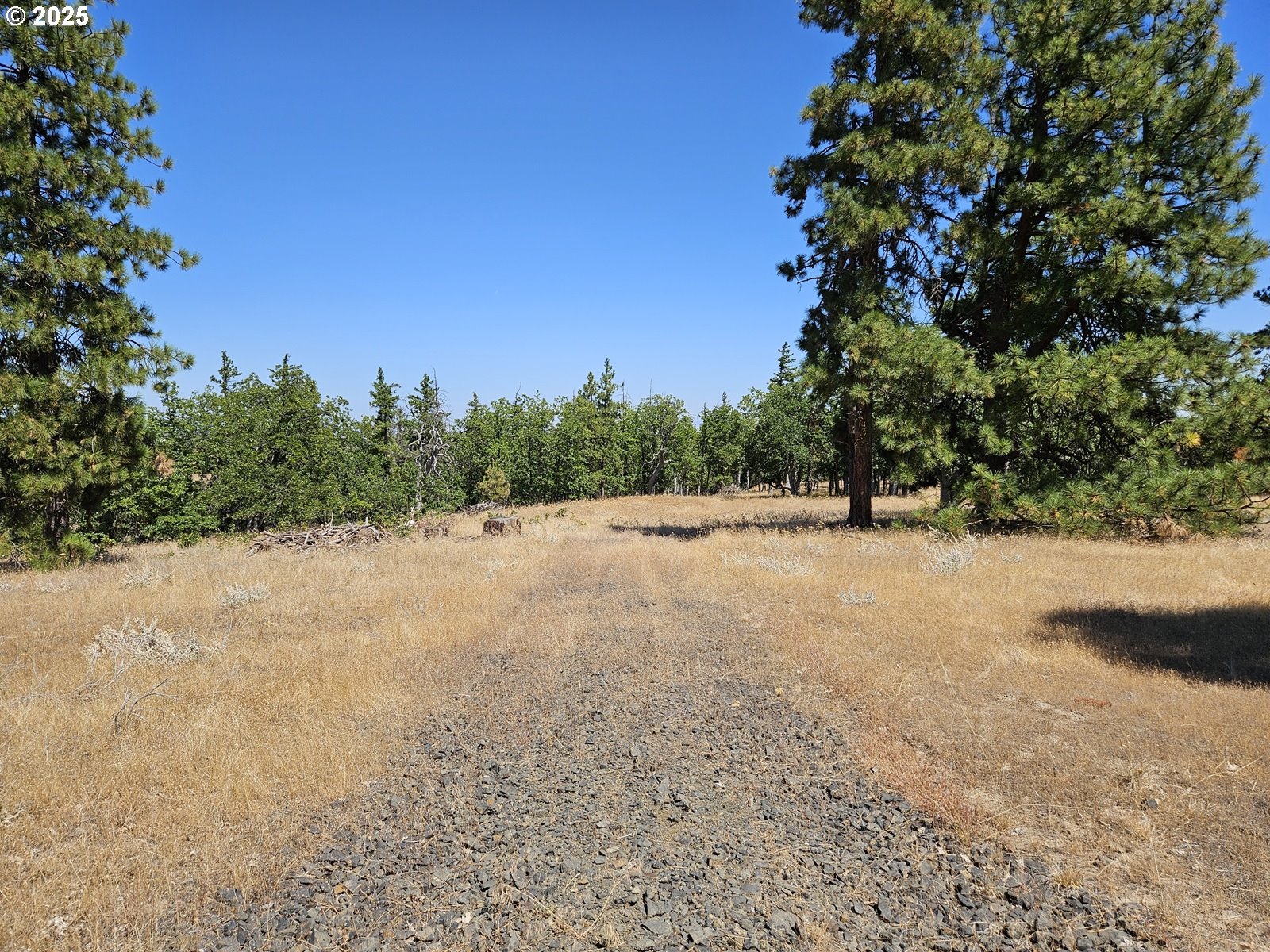 Ramsey Road, Unit 137 Dufur, OR 97021 - Photo 1 of 28 a view of outdoor space and yard