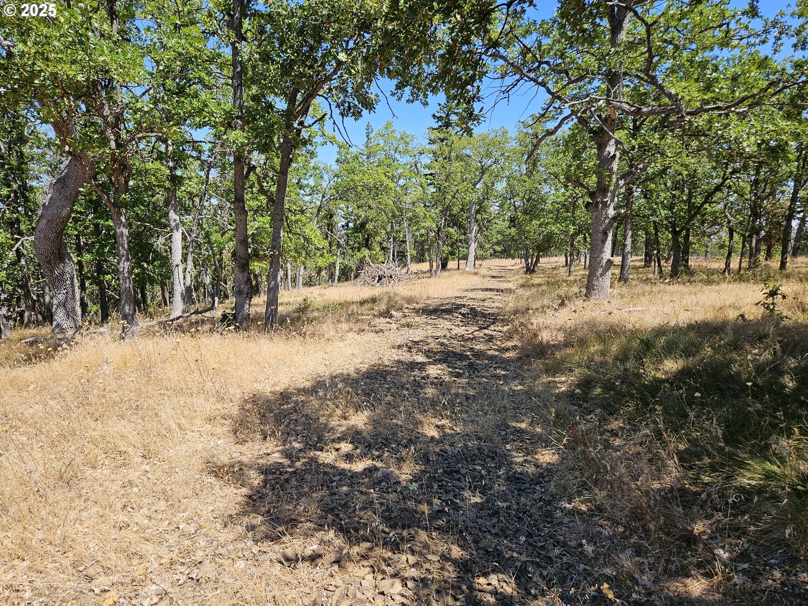 Ramsey Road, Unit 137 Dufur, OR 97021 - Photo 13 of 28 a view of empty space with trees