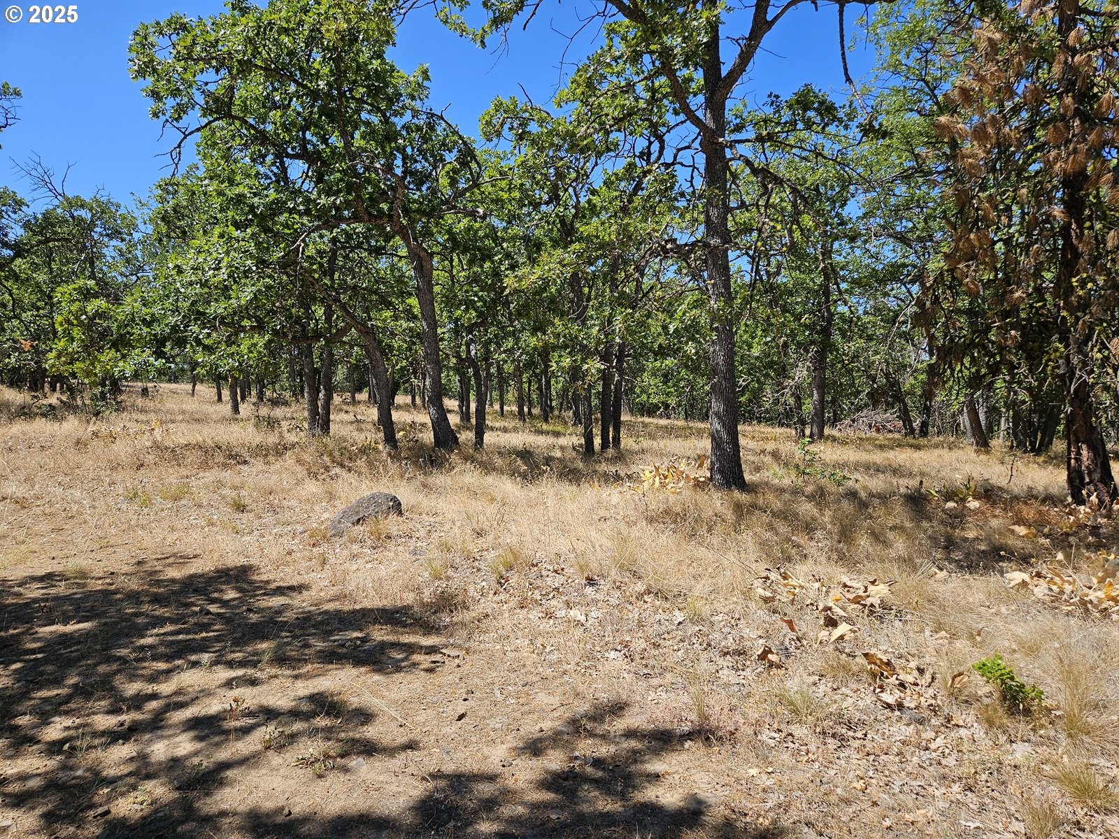 Ramsey Road, Unit 137 Dufur, OR 97021 - Photo 14 of 28 a view of outdoor space with trees
