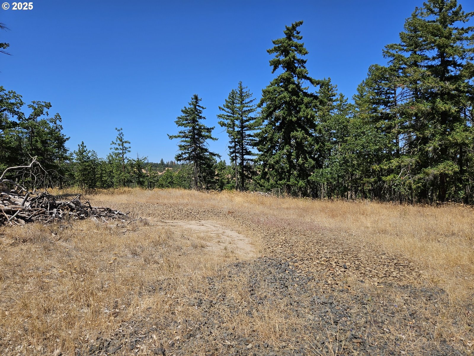 Ramsey Road, Unit 137 Dufur, OR 97021 - Photo 16 of 28 a view of a yard with a tree