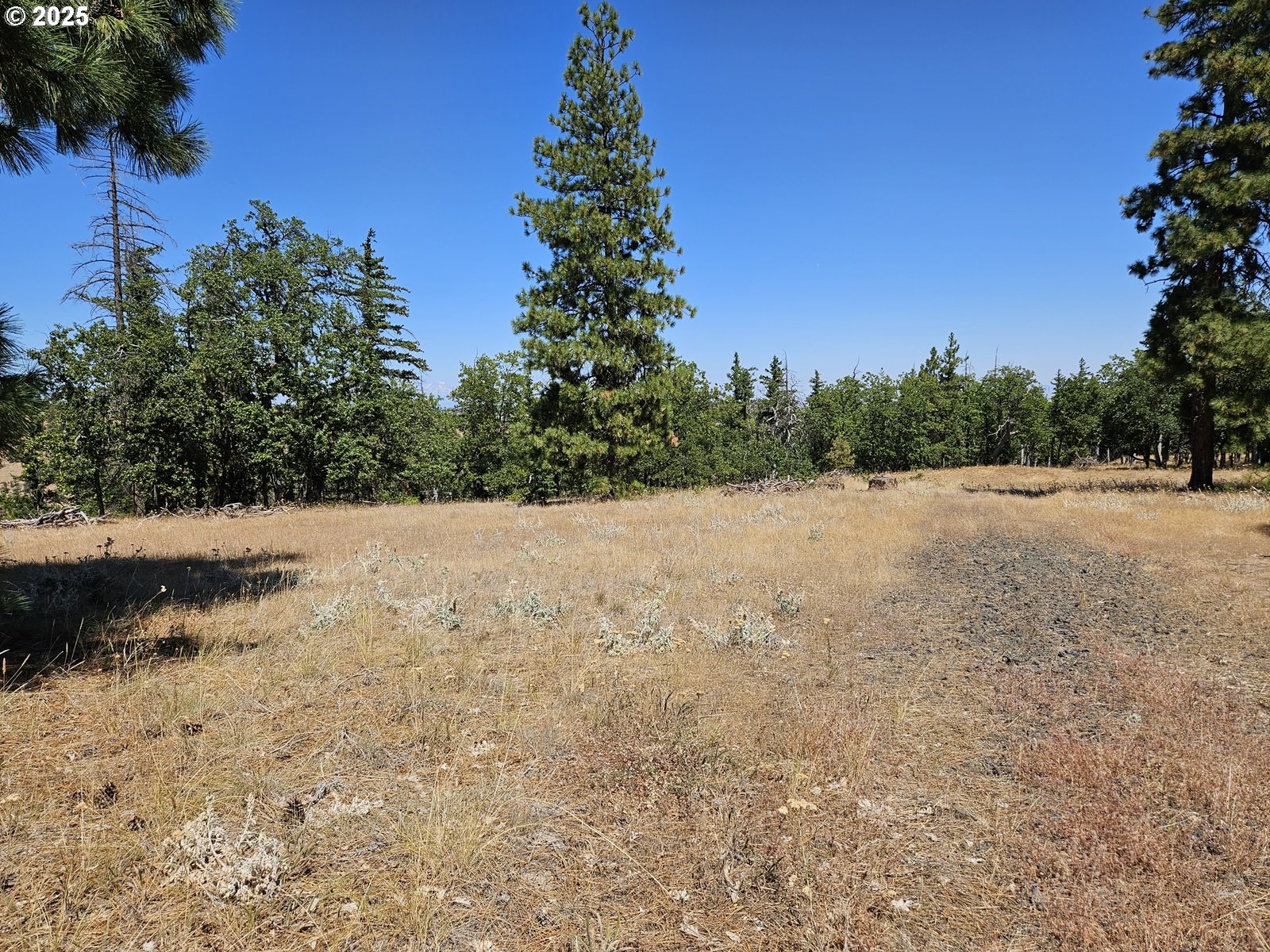 Ramsey Road, Unit 137 Dufur, OR 97021 - Photo 2 of 28 a view of mountain view with trees